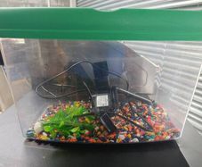 Fish tank