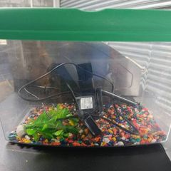 Fish tank