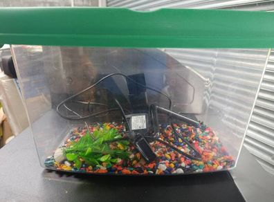 Fish tank