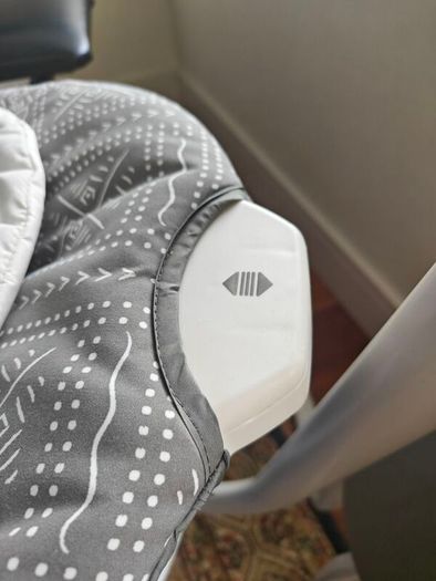 Joie Serina 2-in-1 swing