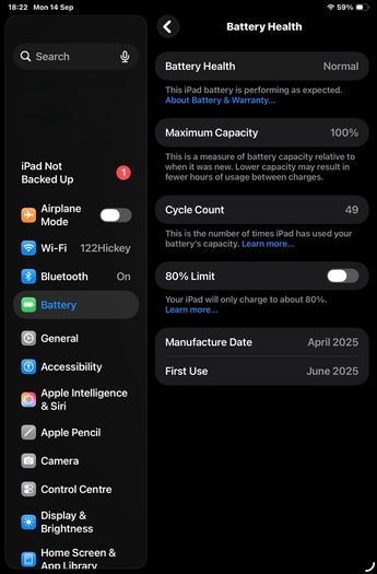 iPad Mini 7 (A17) Space Grey With Official 2 Cases