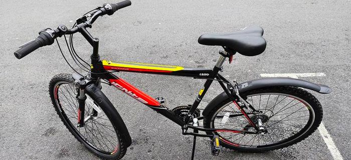mtb