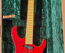 ESP Maverick