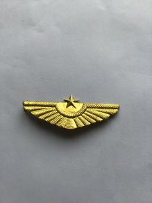 Rare North Korean Air Force Cap Badge