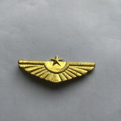 Rare North Korean Air Force Cap Badge