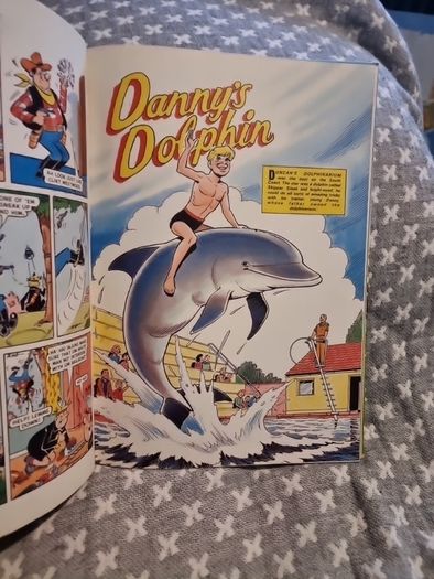The Beezer Book 1984 (Annual) (Hardcover)