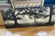 large canvas print