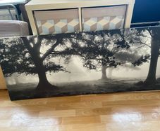 large canvas print