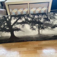 large canvas print