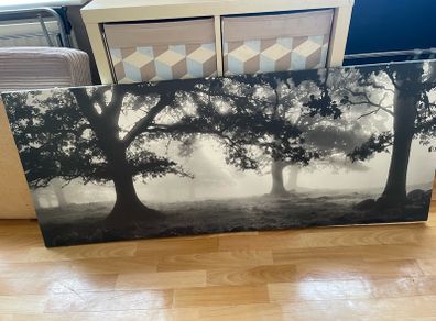 large canvas print