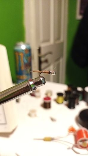 fly fishing flies