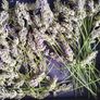 Handmade Lavender Wands Image 3