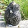 Holly and Harry Hedgehogs 22cm tall, Resin Garden Ornament Image 3