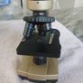 Microscope Image 5