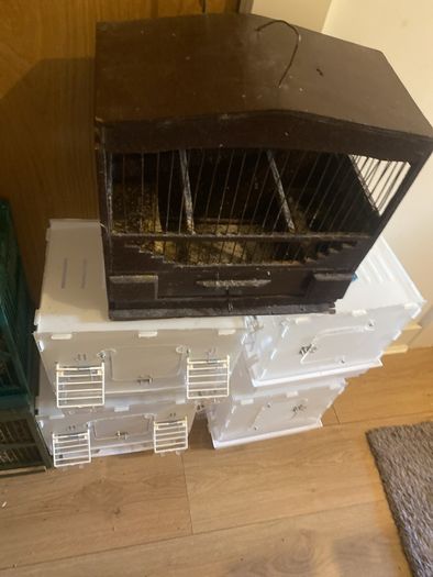 bird cages , travel and mule