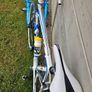 Road Bike Trek Alpha Image 5