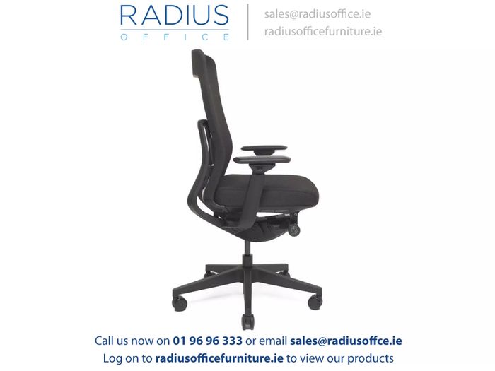 Cara Ergonomic Office Chair