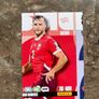 SWAP panini adrenalyn World Cup cards Image 4