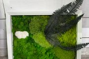 Wall decor 33x45cm Natural moss