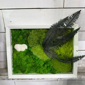 Wall decor 33x45cm Natural moss