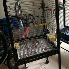 Bird Cage
