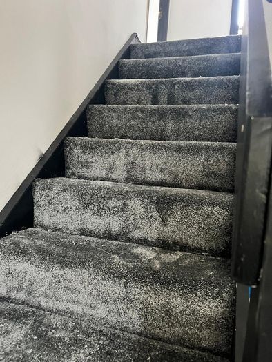 Carpet