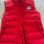 canada goose Image 4