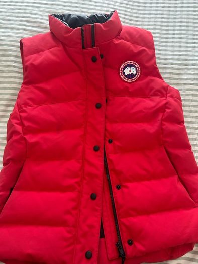 canada goose