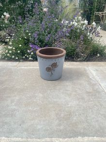 Avoca Pots Multiple Pairs