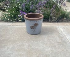 Avoca Pots Multiple Pairs