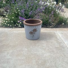 Avoca Pots Multiple Pairs