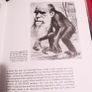 Charles Darwin & his world / Julien Huxley/ 1975 Image 5