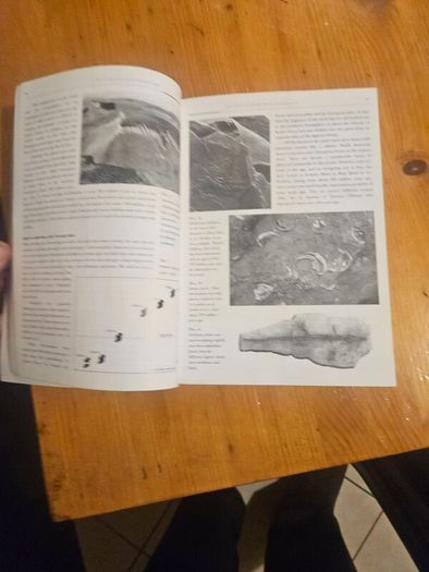 Reading The Irish Landscape. By Frank Mitchel & Michael Ryan. Large Volume Paperback In Good Condition.  See Photos For Same.