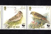 2000 Isle of Man Endangered Species Song Birds Commemorative Stamps Mint Never Hinged (MNH)