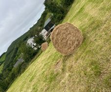 Round bales hay