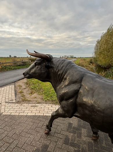 Life Size Bronze Bull Sculpture