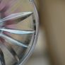 Waterford Crystal Clare Sherry Glasses_Set of 6 Image 4