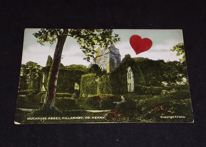 Ireland Postcard : Muckross Abbey , Killarney , Co. Kerry - 1900s