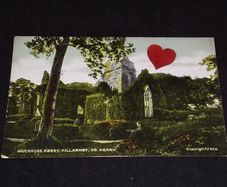 Ireland Postcard : Muckross Abbey , Killarney , Co. Kerry - 1900s