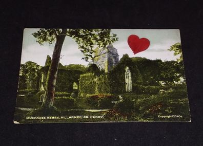 Ireland Postcard : Muckross Abbey , Killarney , Co. Kerry - 1900s