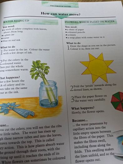 The big book of Science,  a children's encyclopedia