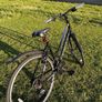 Bentini Medina 700c Ladies Bike-Brand New / Unused Image 4