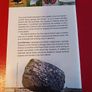 Nature Guide to the Aran Islands / Con O Rourke/ 2006/ Lilliput Press/ 1st edition Image 2