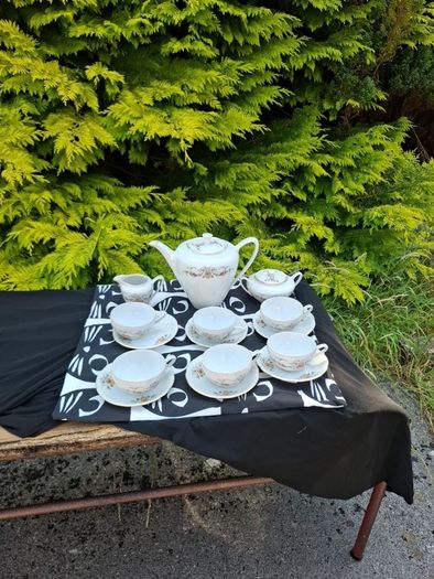China delicate porcelain tea set postage possible
