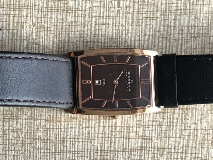 skagen watch