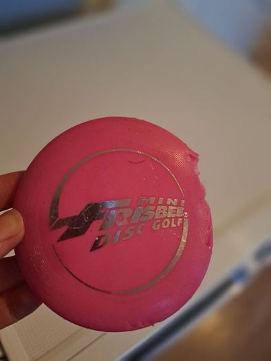 Mini Frisbee Golf Set