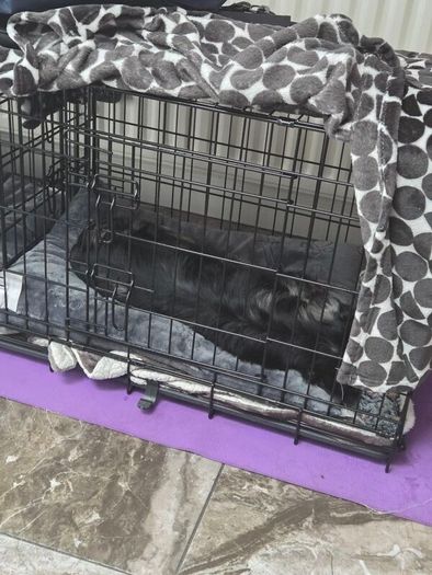 Dog crate Medium