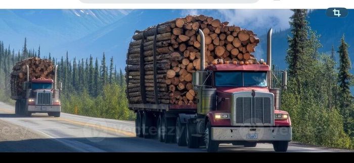 Timber Truck Drivers Wanted