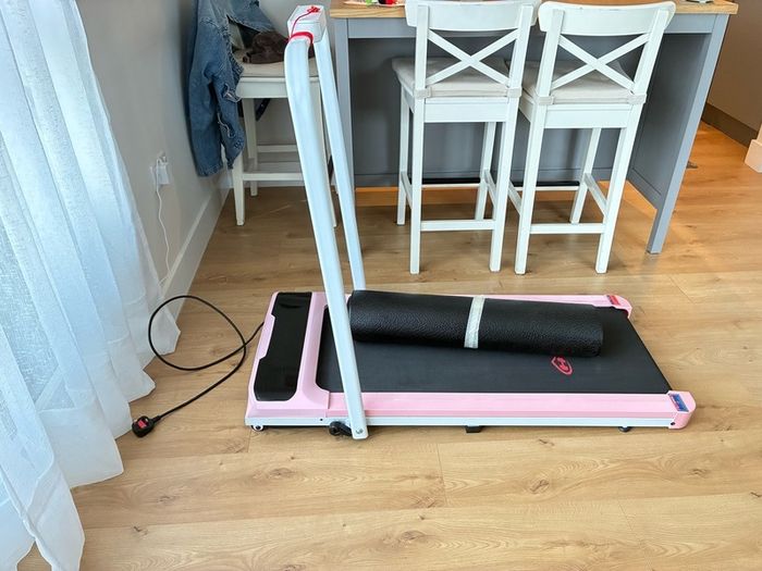 Treadmill walker
