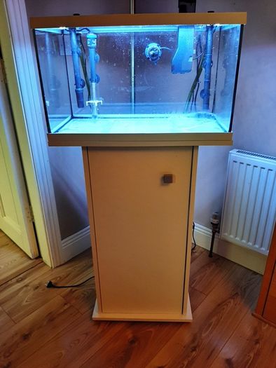 Eheim Aquastar 63 Marine with cabinet  + fluval 207 canister filter